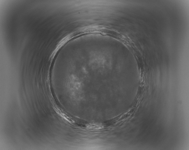 X0000079280099200611171036