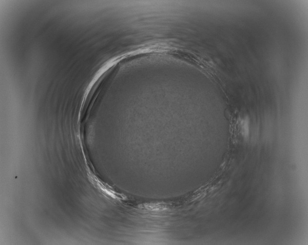 X0000079280100200611171036