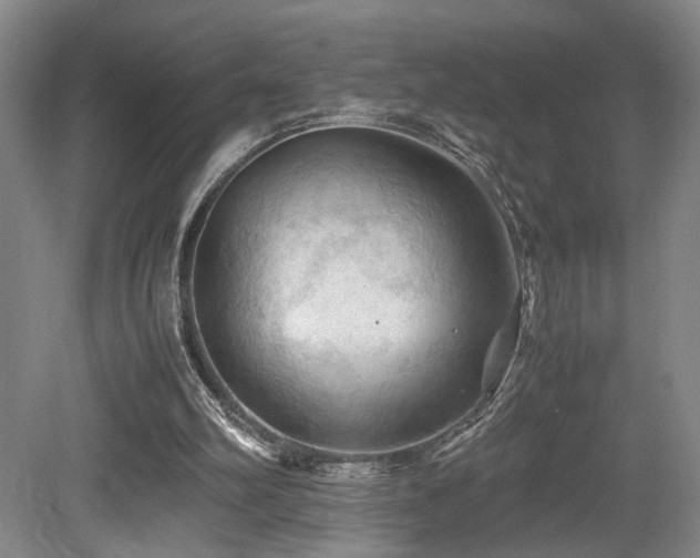 X0000079280102200611171036