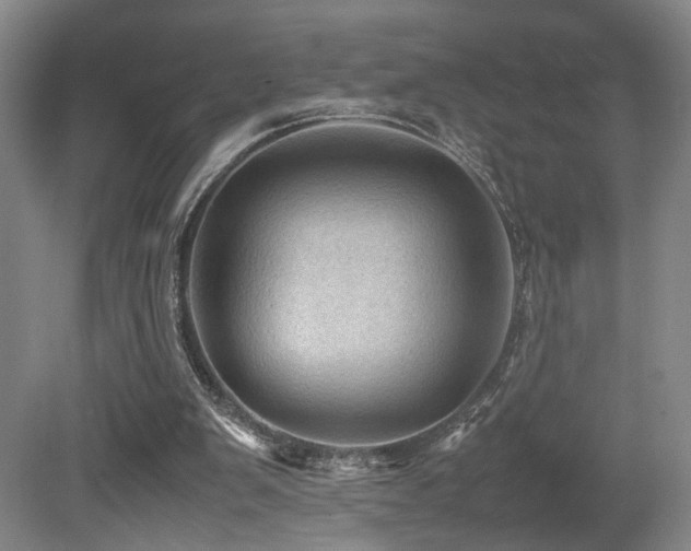 X0000079280103200611171036