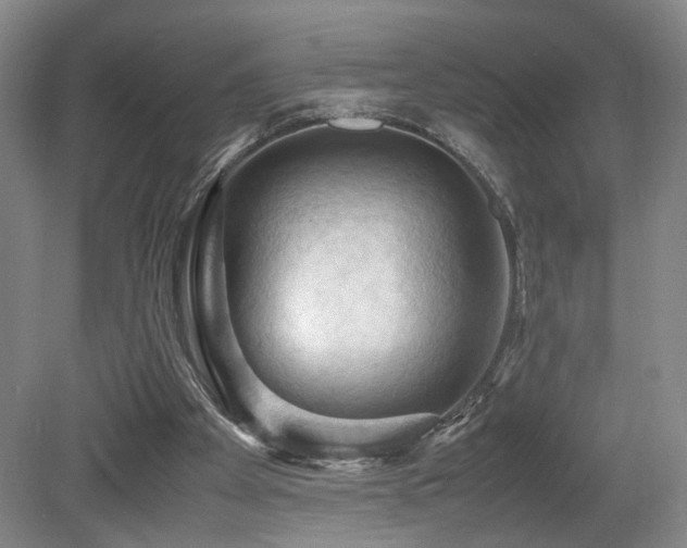 X0000079280105200611171036