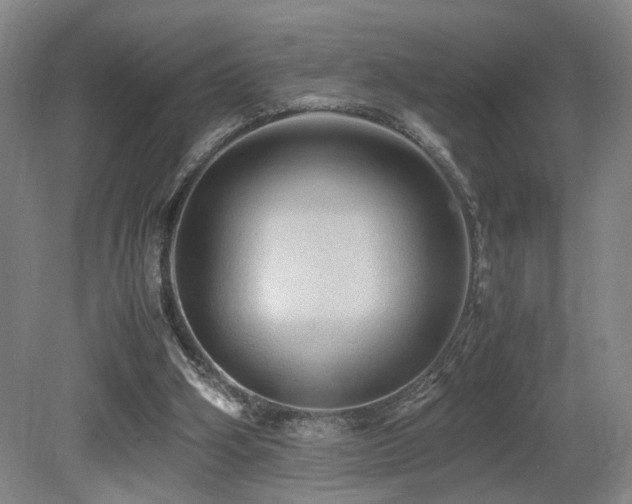 X0000079280106200611171035