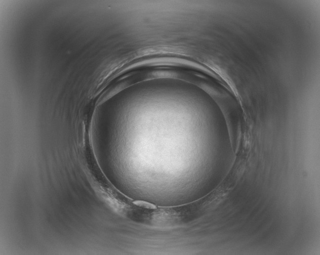 X0000079280109200611171035