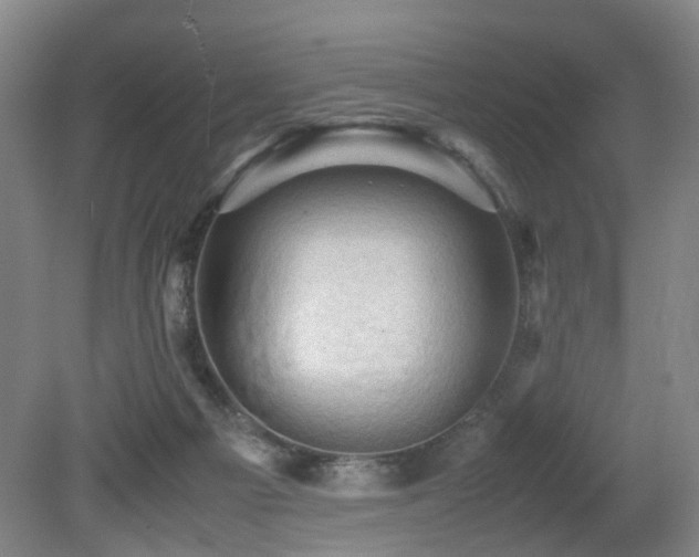 X0000079280121200611171035