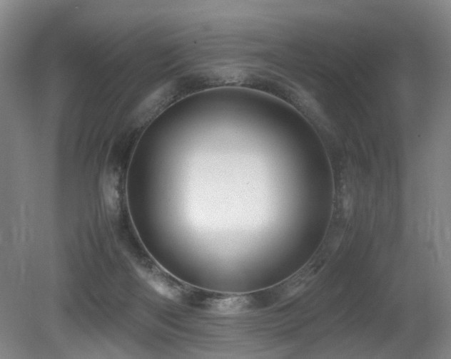 X0000079280122200611171035