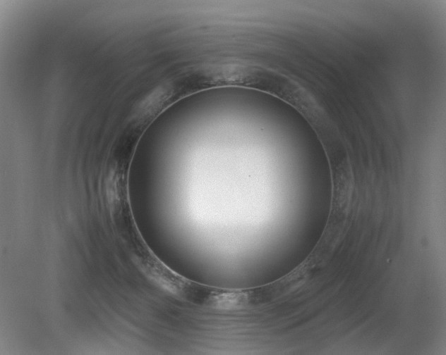 X0000079280126200611171035