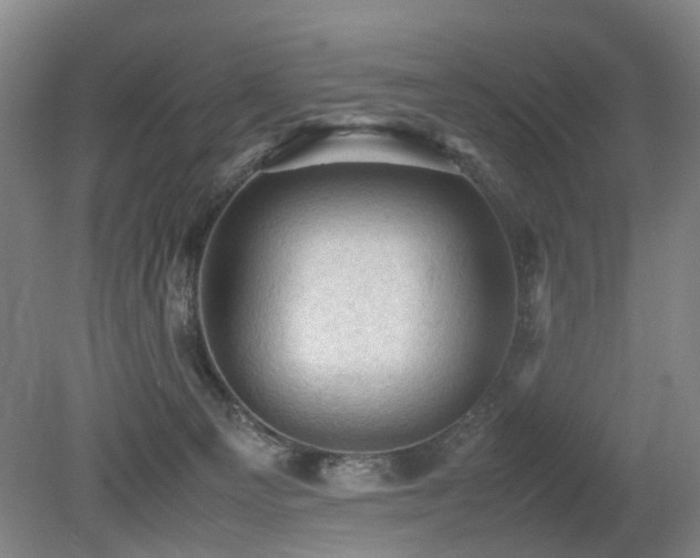 X0000079280129200611171035