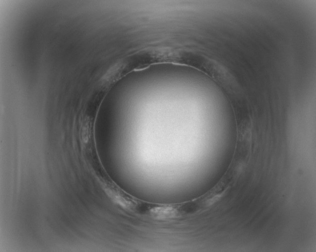 X0000079280133200611171035
