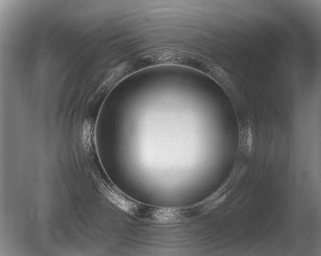 X0000079280142200611171035
