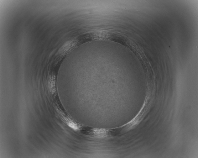 X0000079280144200611171035