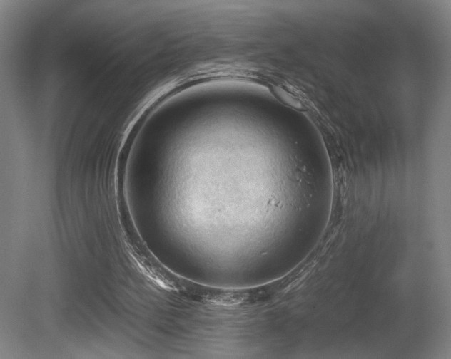 X0000079280148200611171034