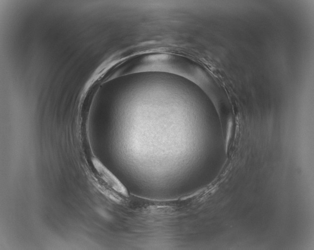 X0000079280150200611171034