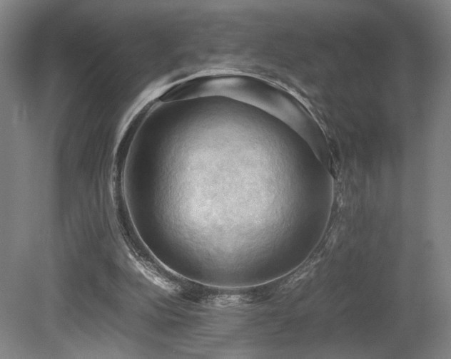 X0000079280152200611171034