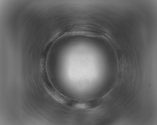 X0000079280171200611171034