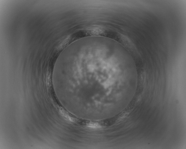X0000079280177200611171035
