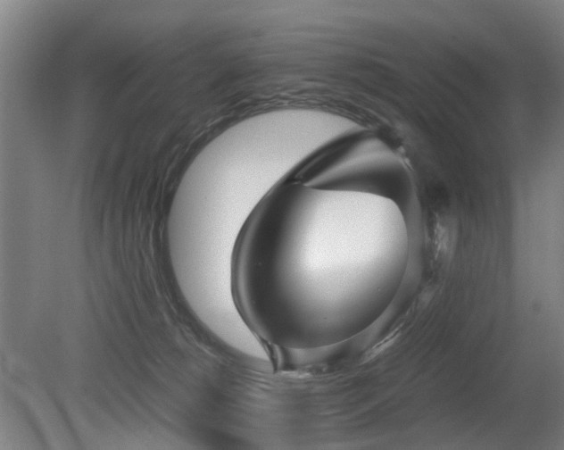 X0000079280180200611171035