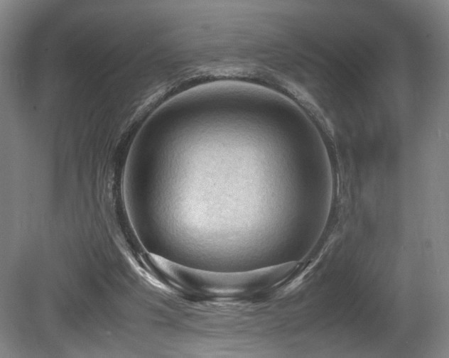 X0000079280201200611171034