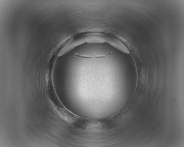 X0000079280206200611171034