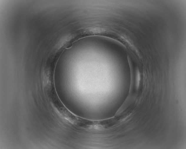 X0000079280212200611171034