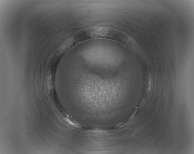 X0000079280224200611171034