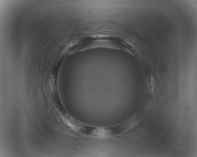X0000079280231200611171033