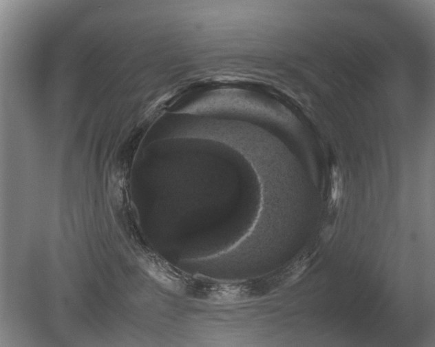 X0000079280235200611171033