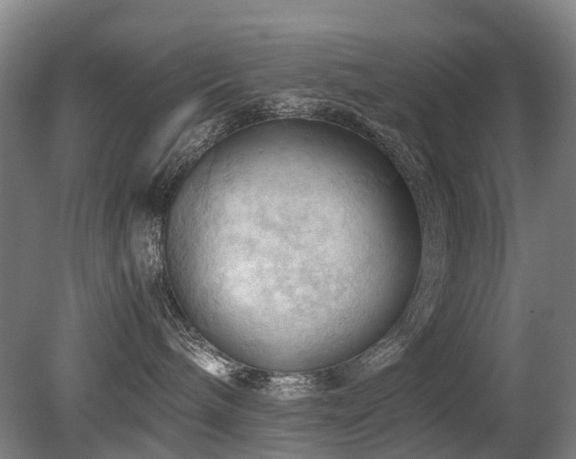 X0000079280240200611171033