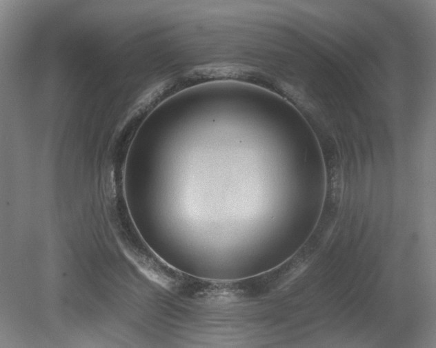 X0000079280254200611171033