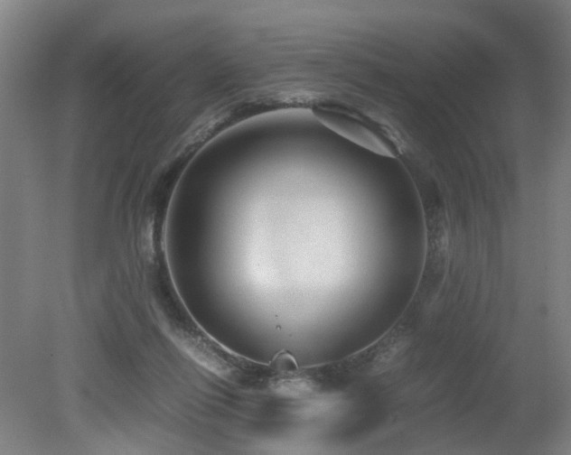 X0000079280262200611171033