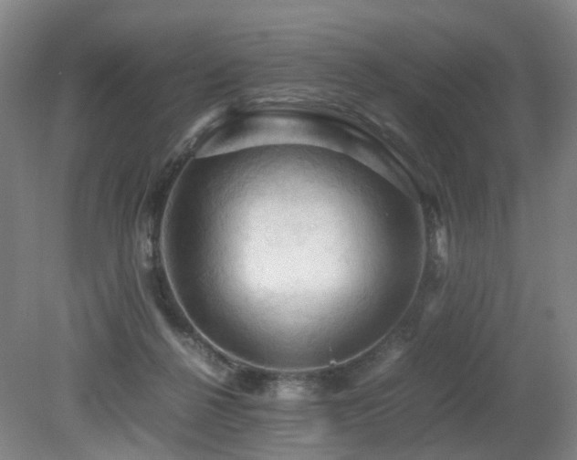 X0000079280264200611171033