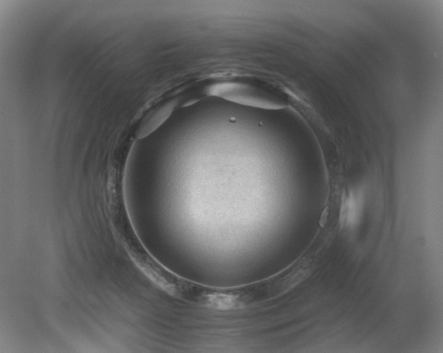 X0000079280265200611171033