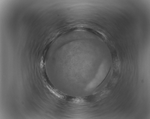 X0000079280284200611171033