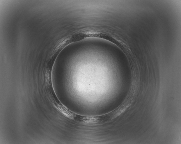 X0000079280288200611171033