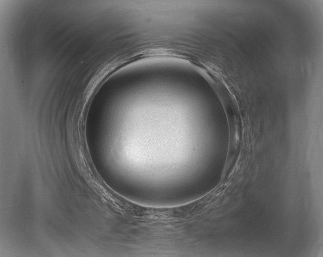 X0000079280289200611171032
