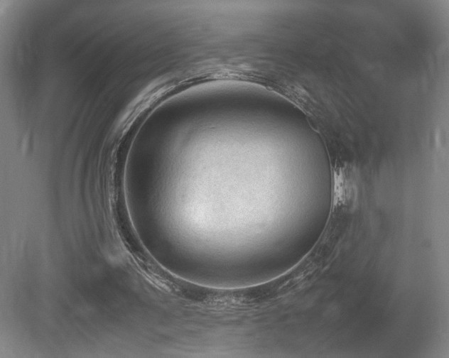 X0000079280291200611171032