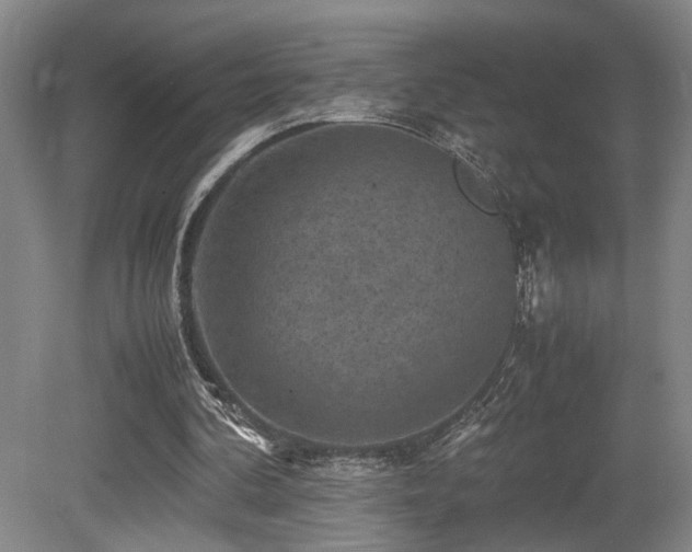 X0000079280292200611171032