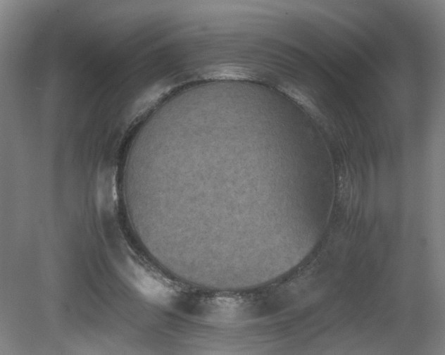 X0000079280302200611171032