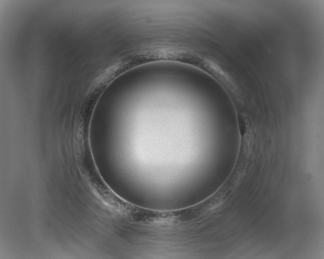 X0000079280306200611171032