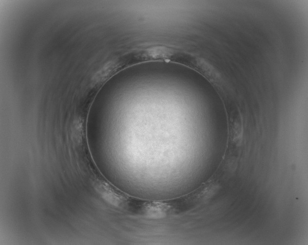 X0000079280321200611171032