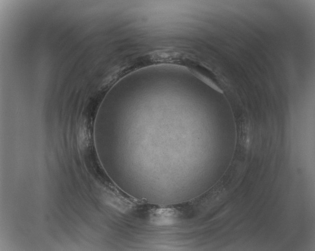 X0000079280324200611171032