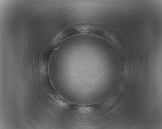X0000079280332200611171032
