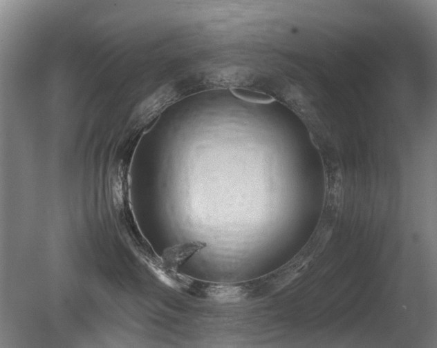 X0000079280334200611171032