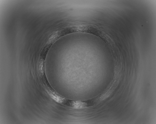 X0000079280336200611171032