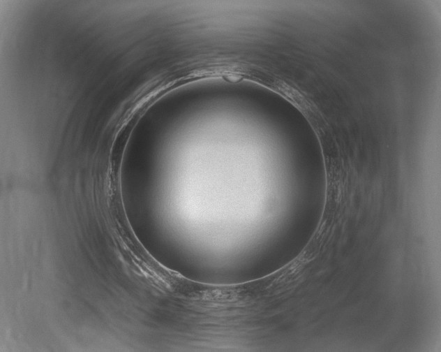X0000079280338200611171031