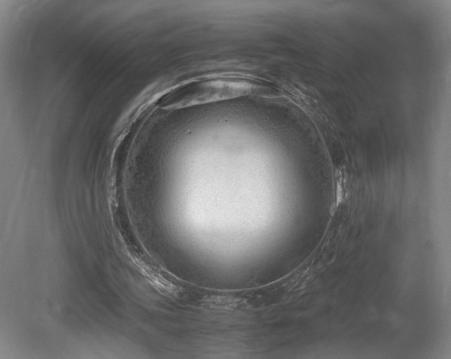 X0000079280339200611171031