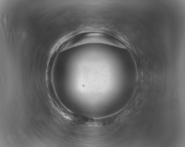 X0000079280340200611171031