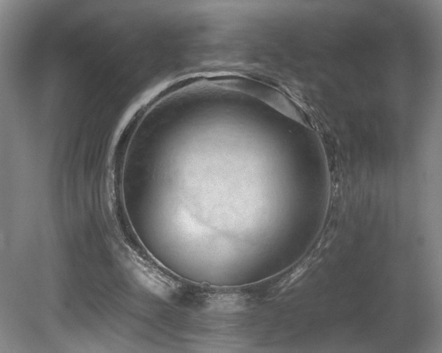 X0000079280342200611171031