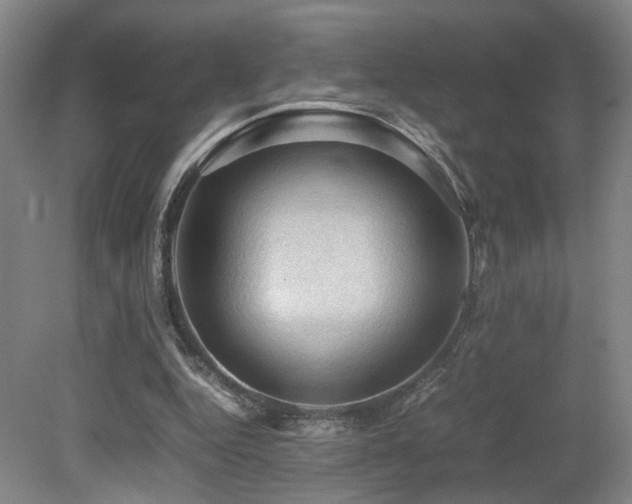 X0000079280344200611171031