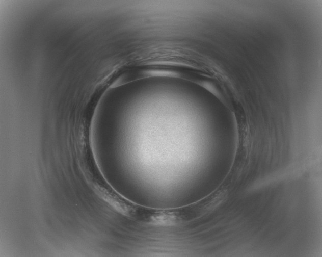 X0000079280362200611171031
