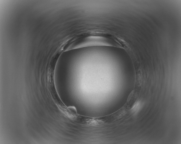 X0000079280379200611171032